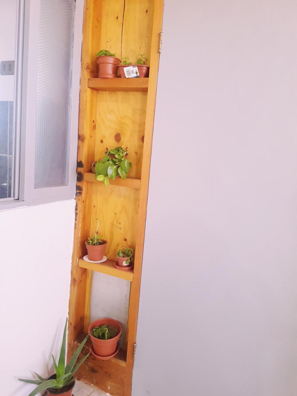 Departamento Luna Andina Σαν Πέδρο ντε Ατακάμα Εξωτερικό φωτογραφία